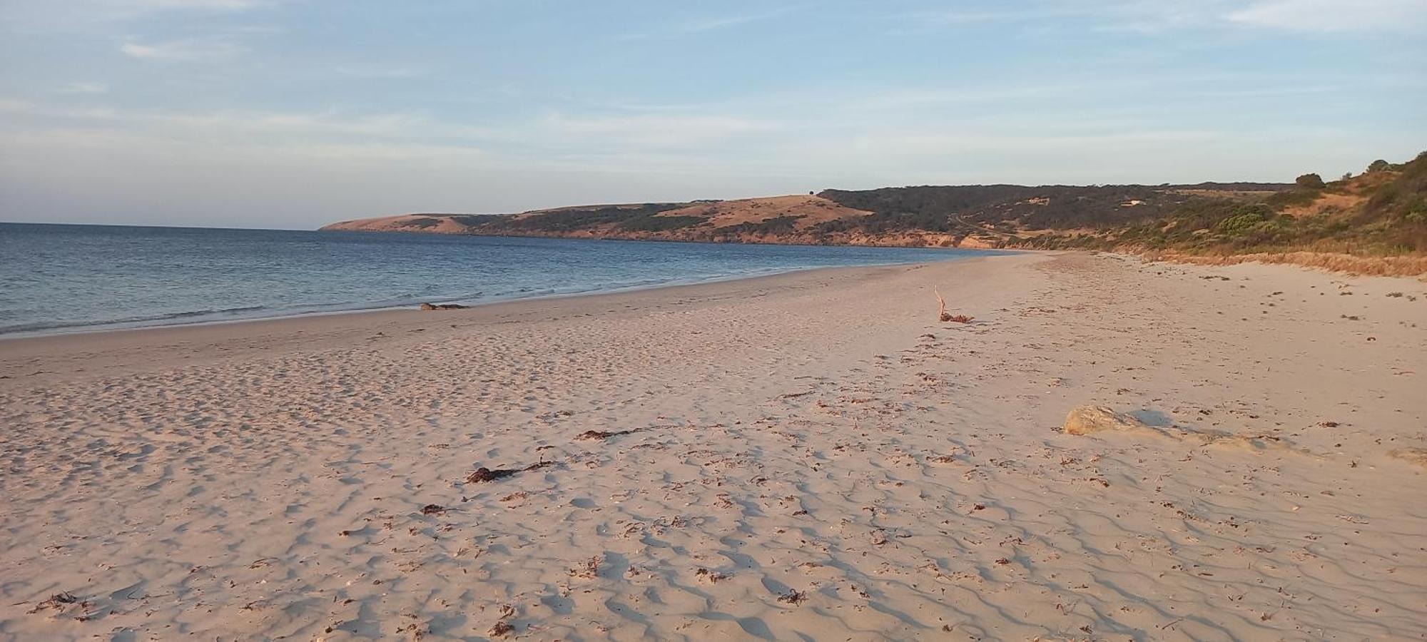 Kangaroo Island Ocean View Premium Couples Retreat "The Rusty Kangaroo" Villa Penneshaw Esterno foto